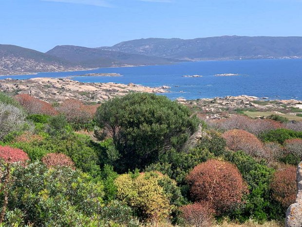 Asinara 24.5.2024